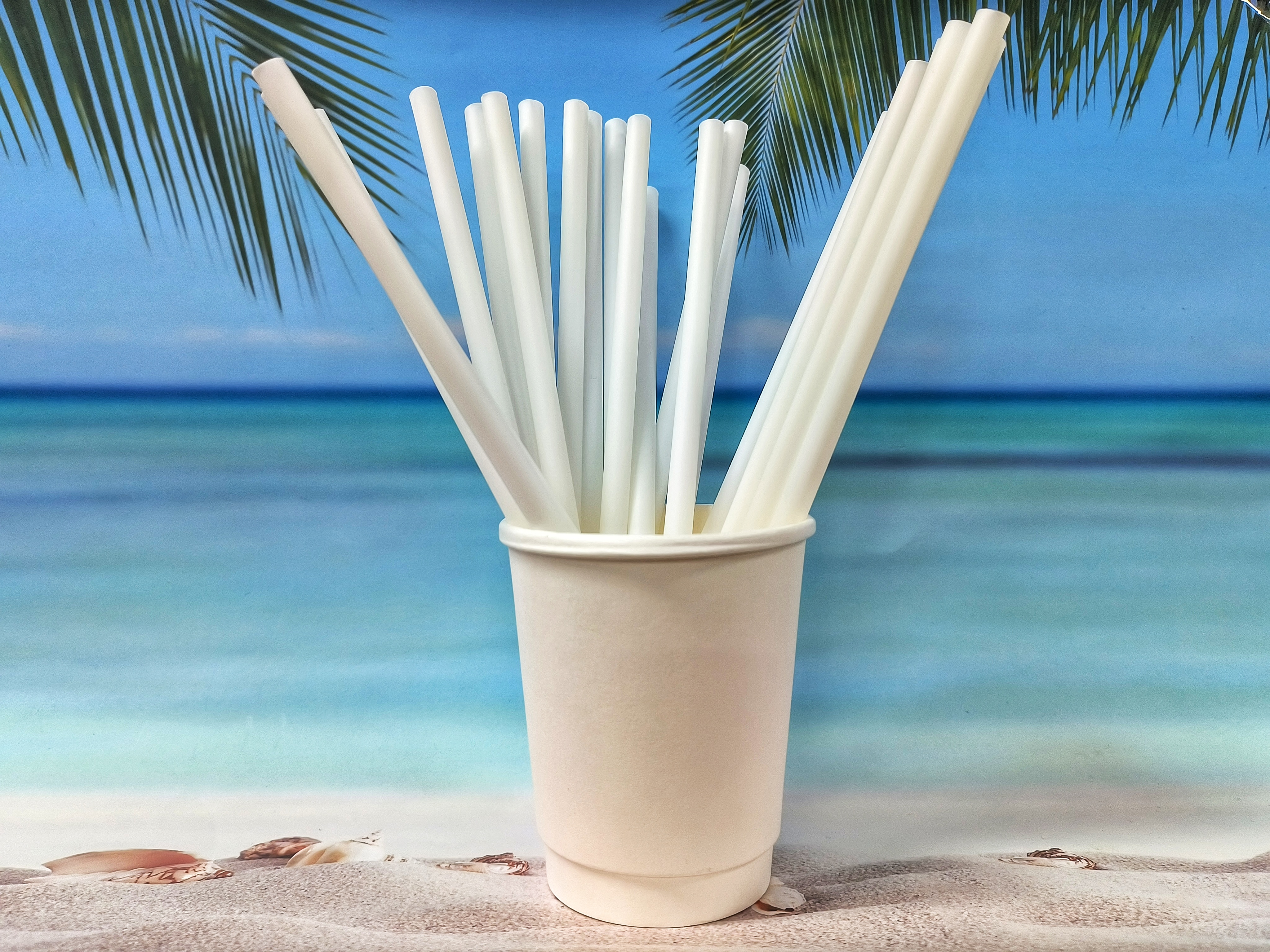 1769066940817463.jpg 1769066940817463.jpg